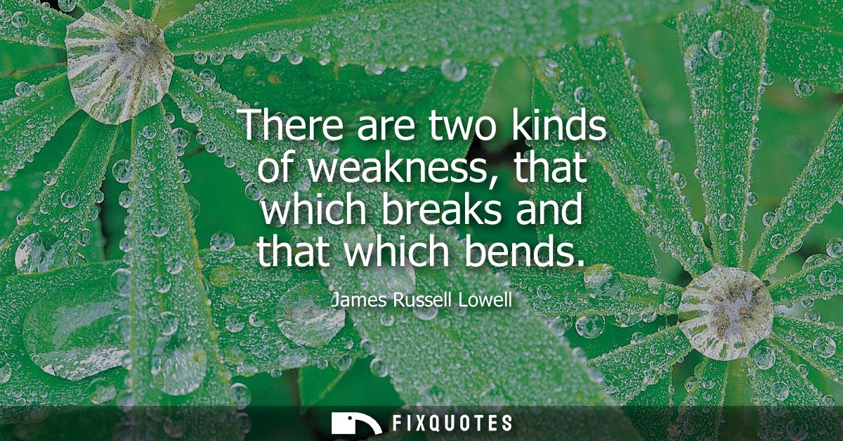 There are two kinds of weakness, that which breaks and that which bends