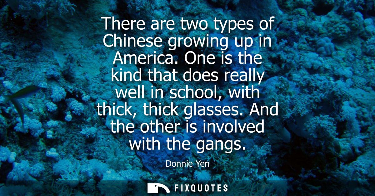 There are two types of Chinese growing up in America. One is the kind that does really well in school, with thick, thick