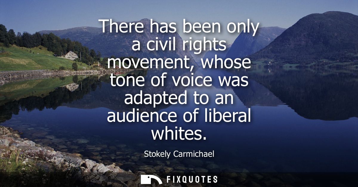 There has been only a civil rights movement, whose tone of voice was adapted to an audience of liberal whites