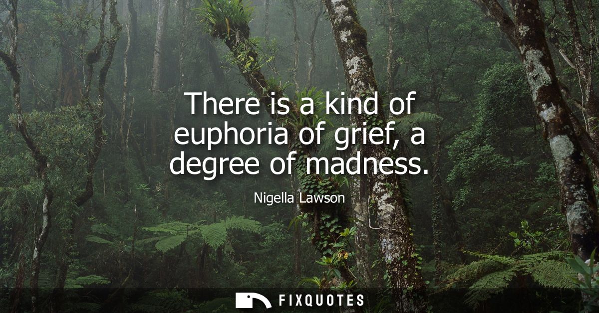 There is a kind of euphoria of grief, a degree of madness