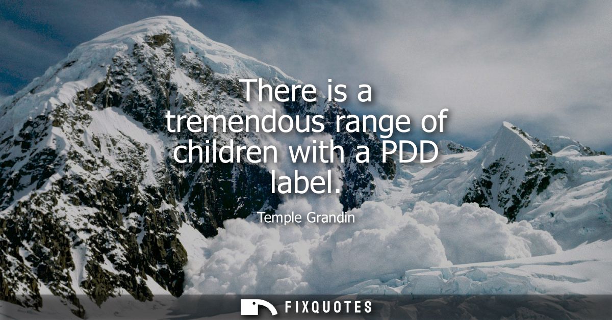 There is a tremendous range of children with a PDD label