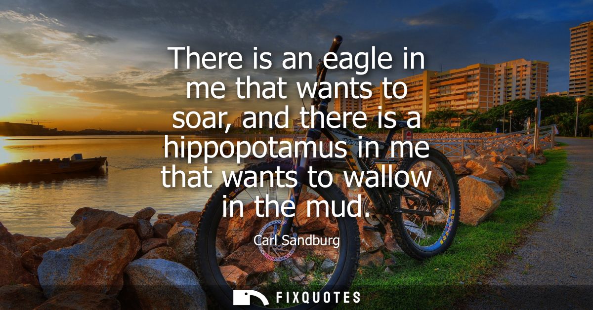 There is an eagle in me that wants to soar, and there is a hippopotamus in me that wants to wallow in the mud