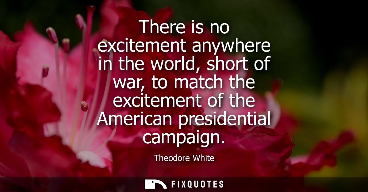 There is no excitement anywhere in the world, short of war, to match the excitement of the American presidential campaig