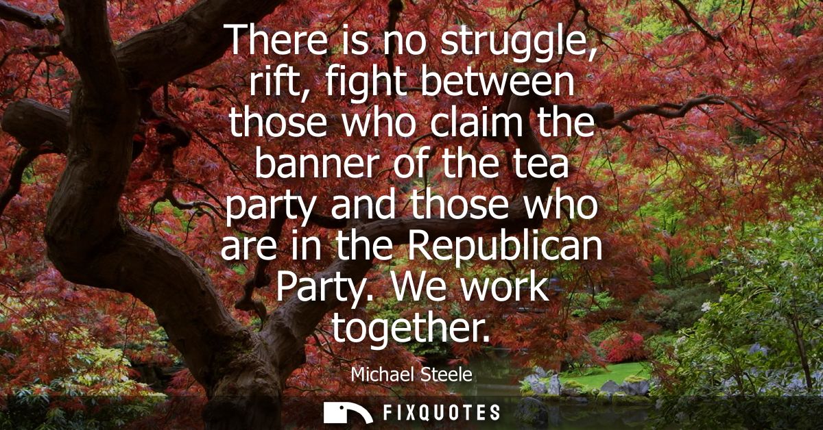 There is no struggle, rift, fight between those who claim the banner of the tea party and those who are in the Republica