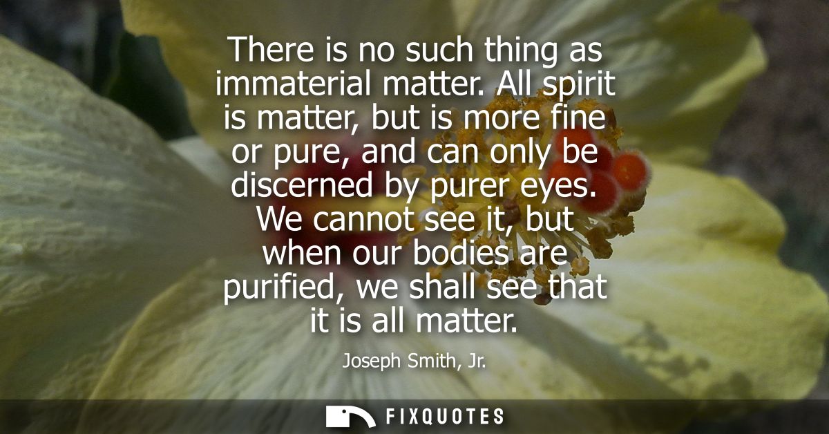 There is no such thing as immaterial matter. All spirit is matter, but is more fine or pure, and can only be discerned b