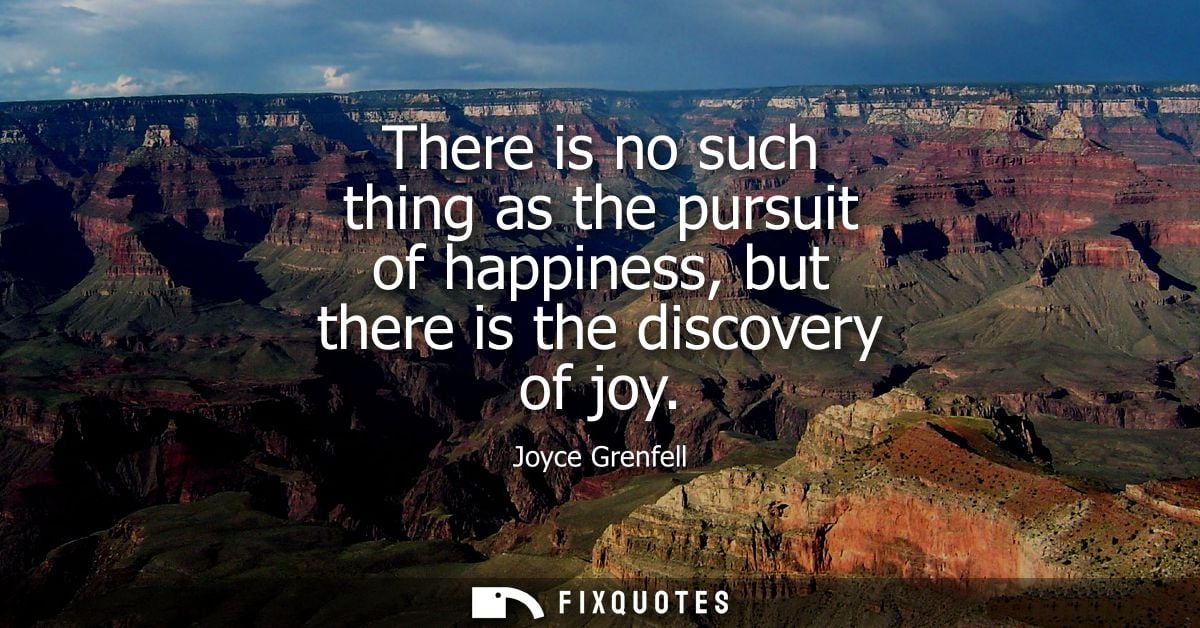 There is no such thing as the pursuit of happiness, but there is the discovery of joy