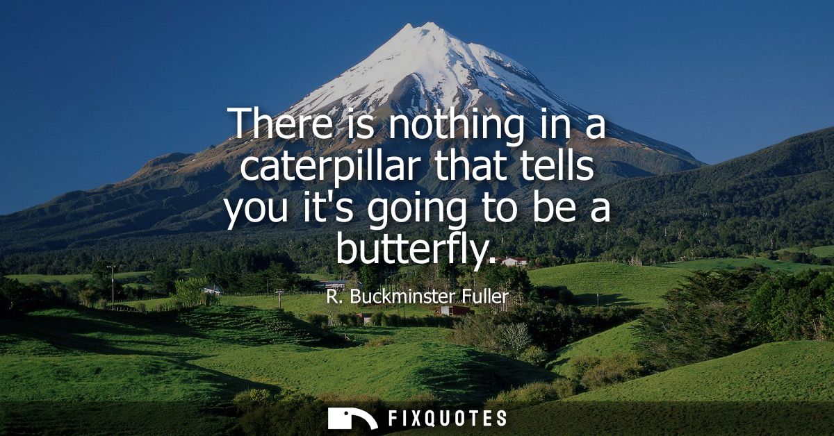 There is nothing in a caterpillar that tells you its going to be a butterfly - R. Buckminster Fuller