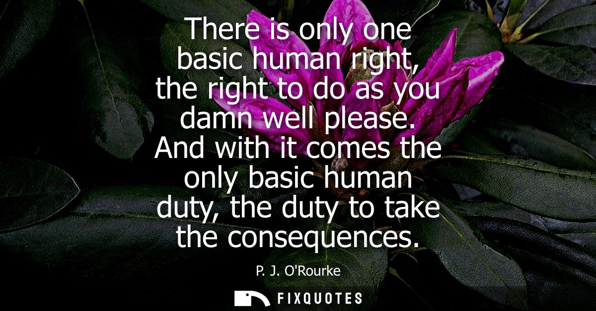 There is only one basic human right, the right to do as you damn well please. And with it comes the only basic human dut