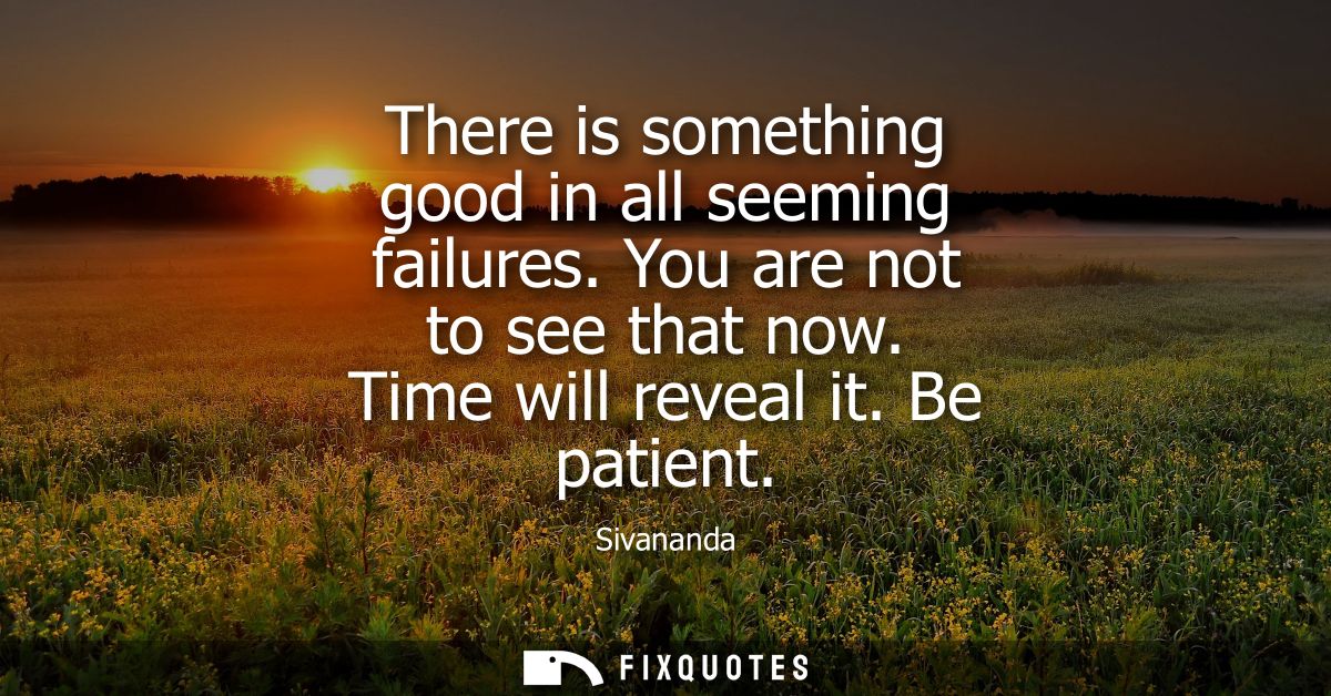 There is something good in all seeming failures. You are not to see that now. Time will reveal it. Be patient