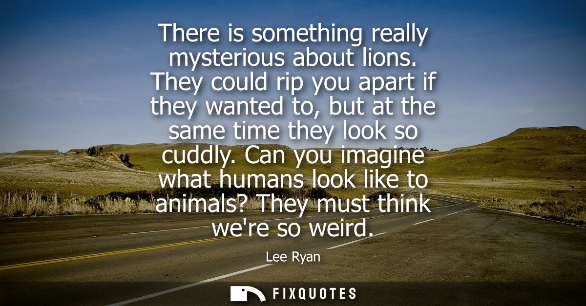 There is something really mysterious about lions. They could rip you apart if they wanted to, but at the same time they 