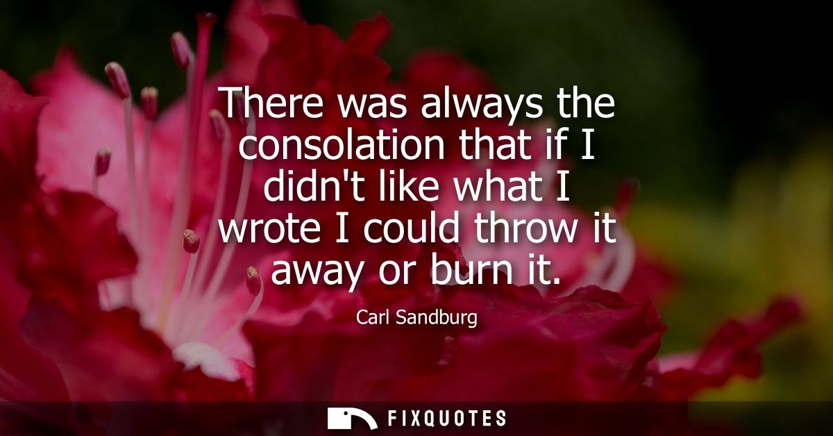 There was always the consolation that if I didnt like what I wrote I could throw it away or burn it
