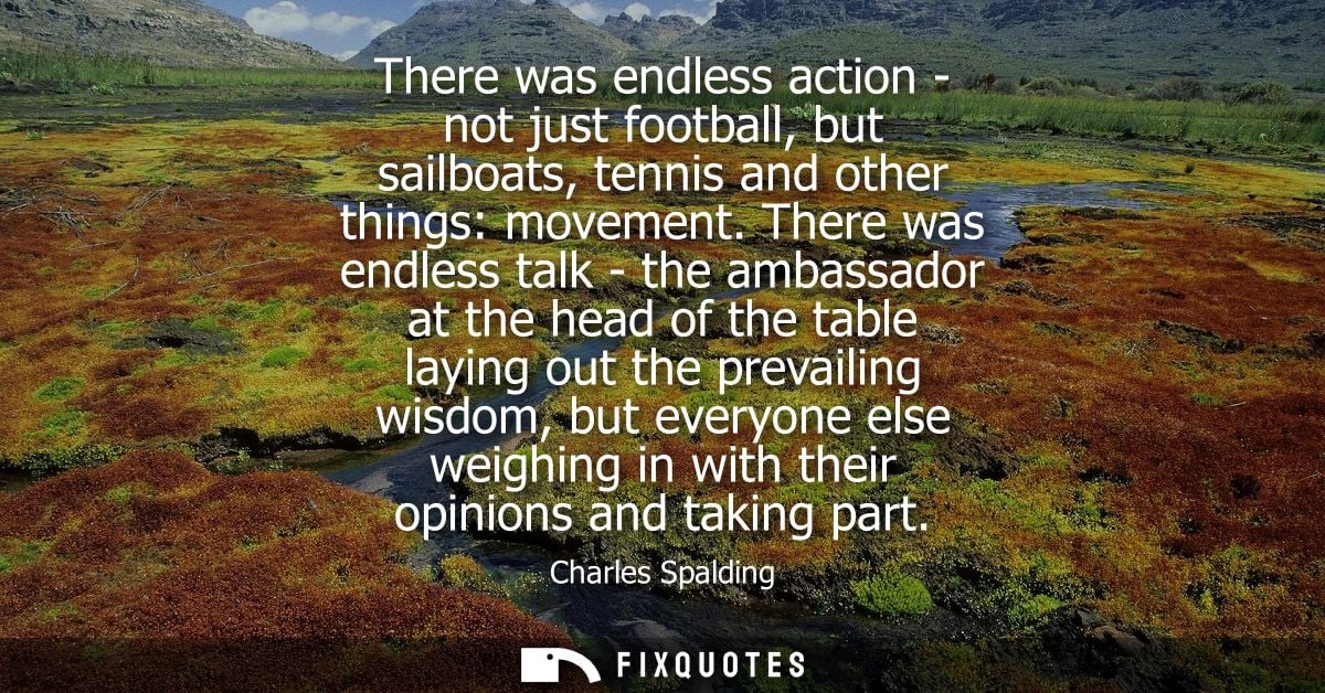 There was endless action - not just football, but sailboats, tennis and other things: movement. There was endless talk -