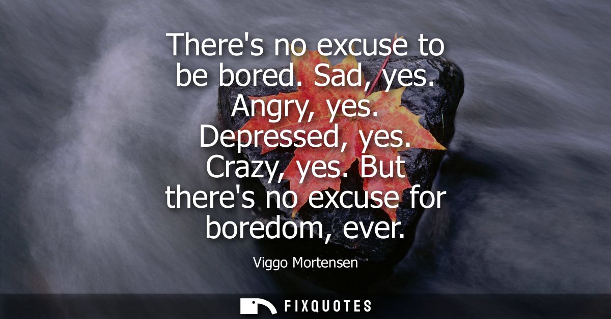 Theres no excuse to be bored. Sad, yes. Angry, yes. Depressed, yes. Crazy, yes. But theres no excuse for boredom, ever