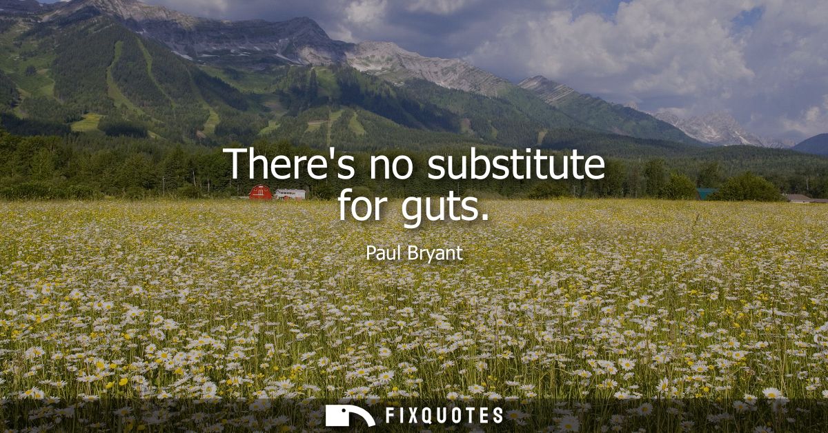 Theres no substitute for guts