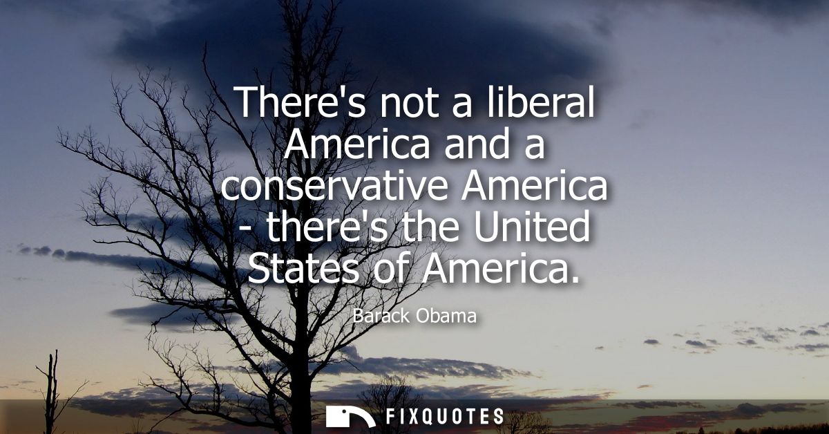 Theres not a liberal America and a conservative America - theres the United States of America