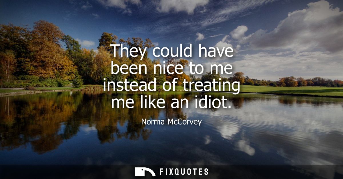 They could have been nice to me instead of treating me like an idiot