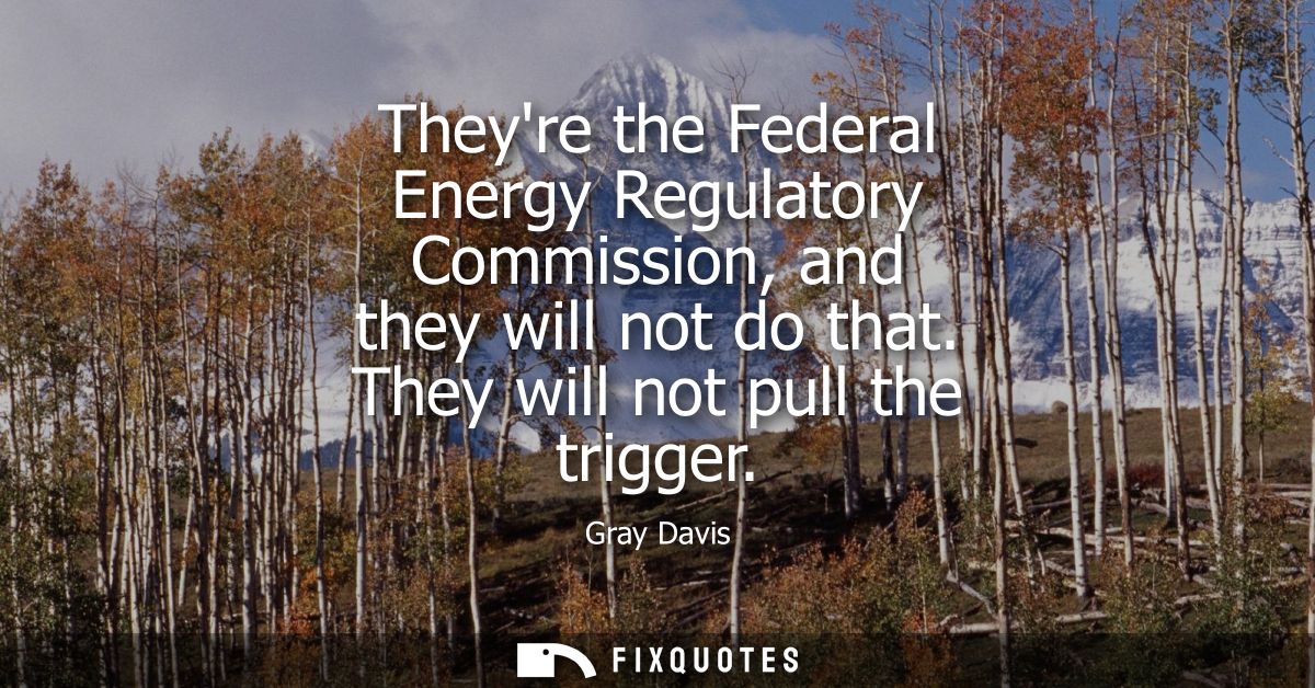 Theyre the Federal Energy Regulatory Commission, and they will not do that. They will not pull the trigger