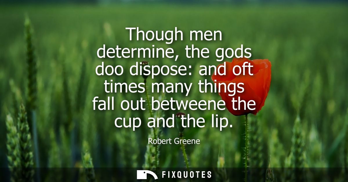 Though men determine, the gods doo dispose: and oft times many things fall out betweene the cup and the lip