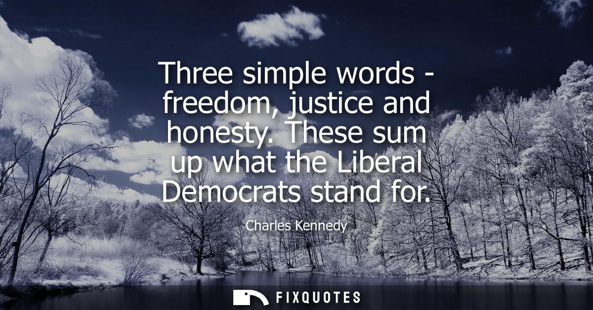 Three simple words - freedom, justice and honesty. These sum up what the Liberal Democrats stand for