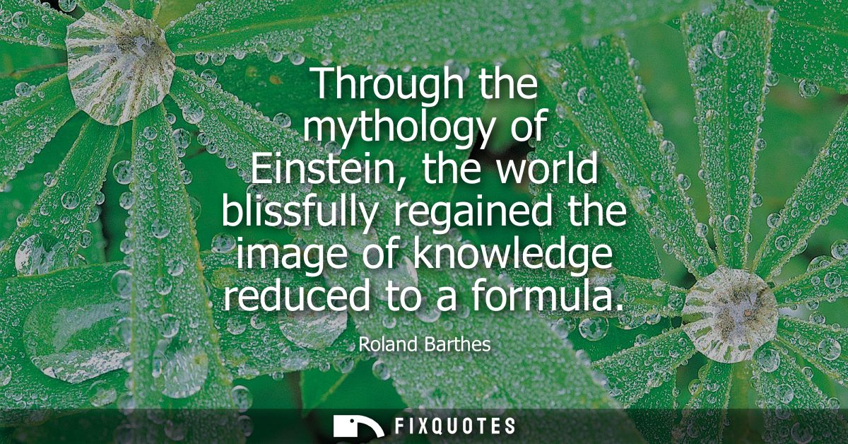 Through the mythology of Einstein, the world blissfully regained the image of knowledge reduced to a formula