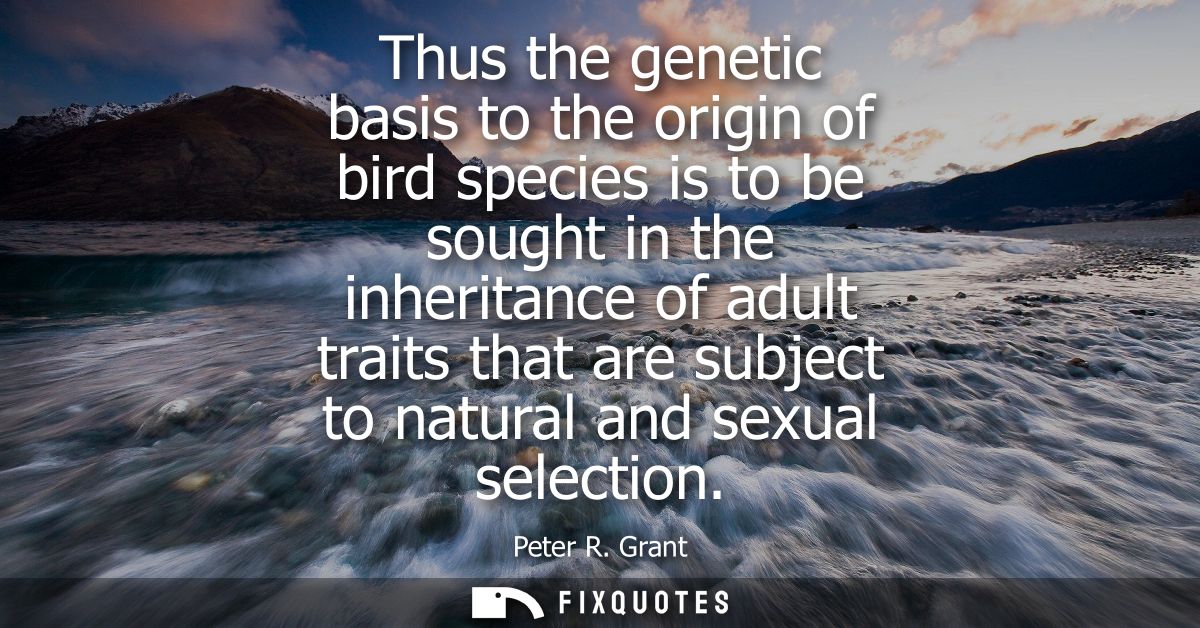 Thus the genetic basis to the origin of bird species is to be sought in the inheritance of adult traits that are subject