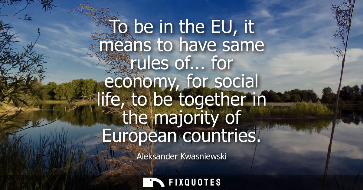 To be in the EU, it means to have same rules of... for economy, for social life, to be together in the majority of Europ