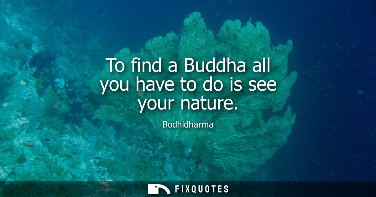 To find a Buddha all you have to do is see your nature