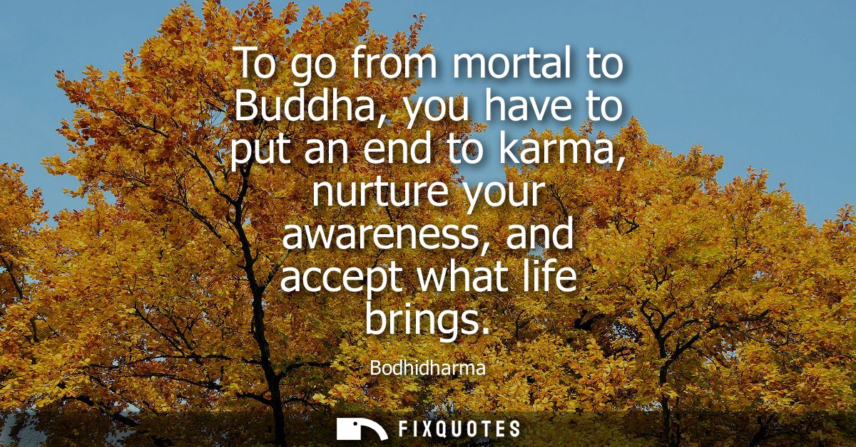 To go from mortal to Buddha, you have to put an end to karma, nurture your awareness, and accept what life brings