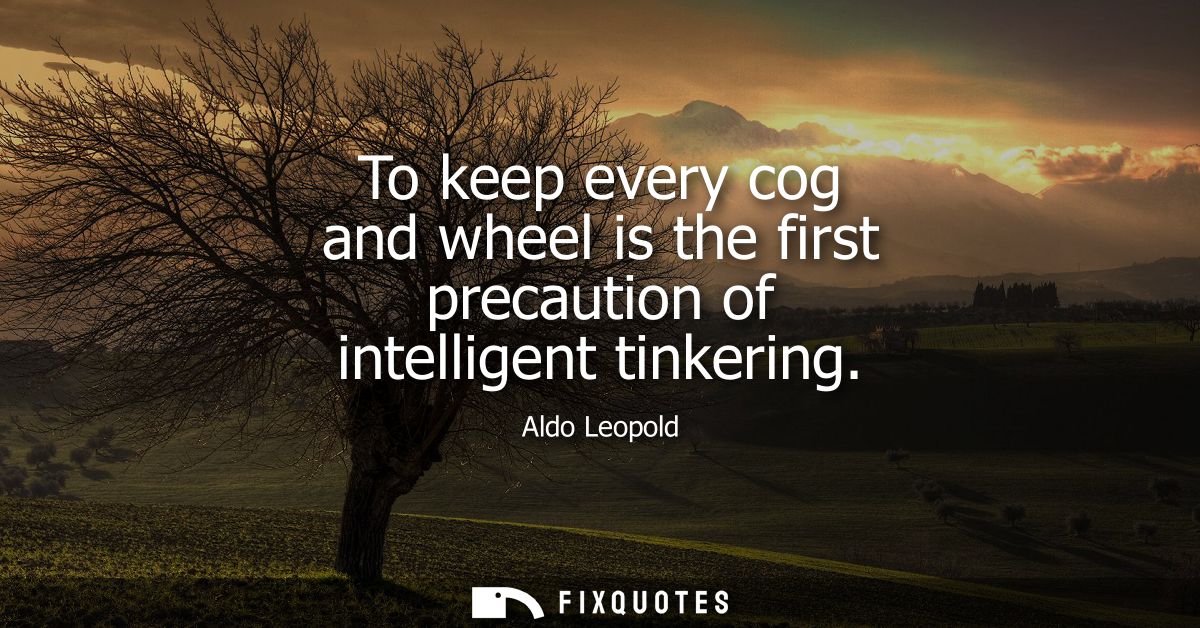 To keep every cog and wheel is the first precaution of intelligent tinkering