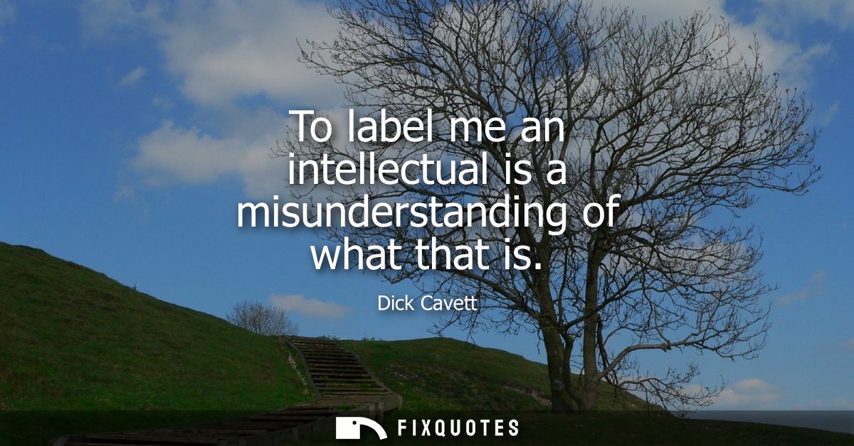 To label me an intellectual is a misunderstanding of what that is