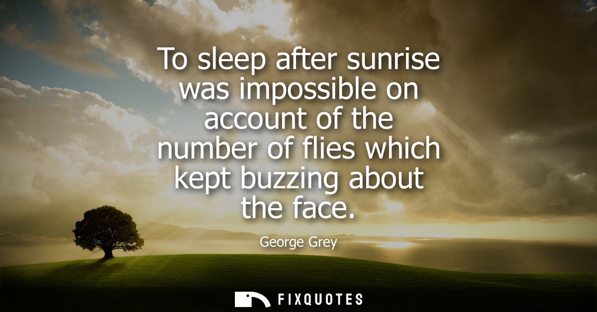 To sleep after sunrise was impossible on account of the number of flies which kept buzzing about the face