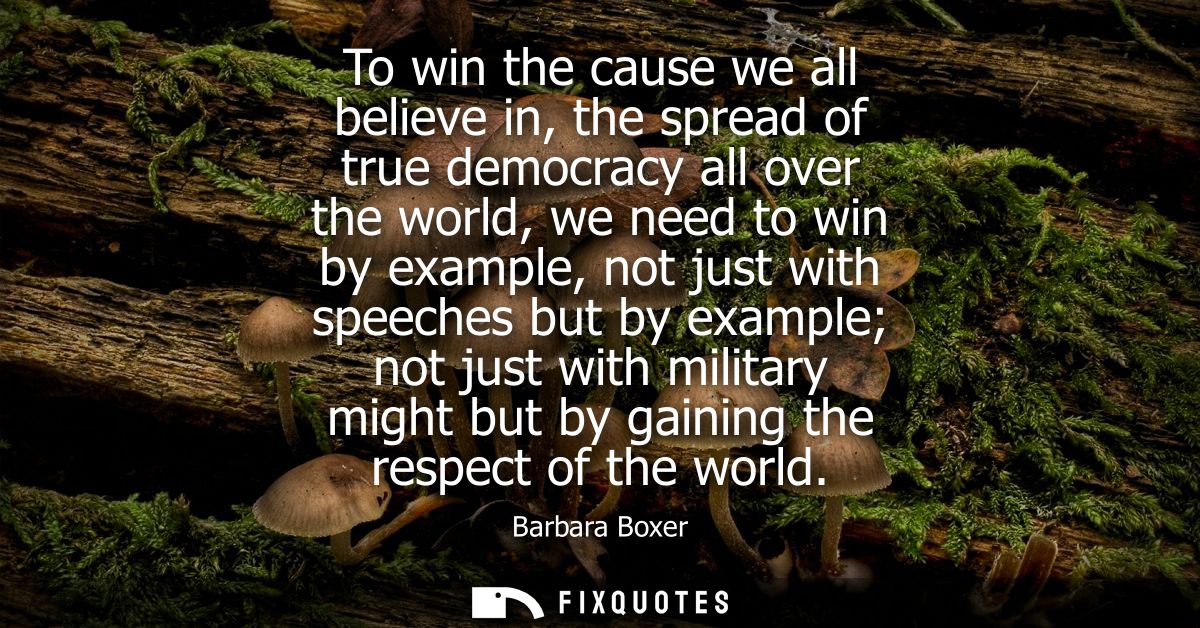 To win the cause we all believe in, the spread of true democracy all over the world, we need to win by example, not just