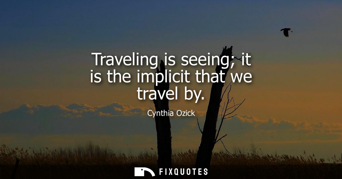 Traveling is seeing it is the implicit that we travel by