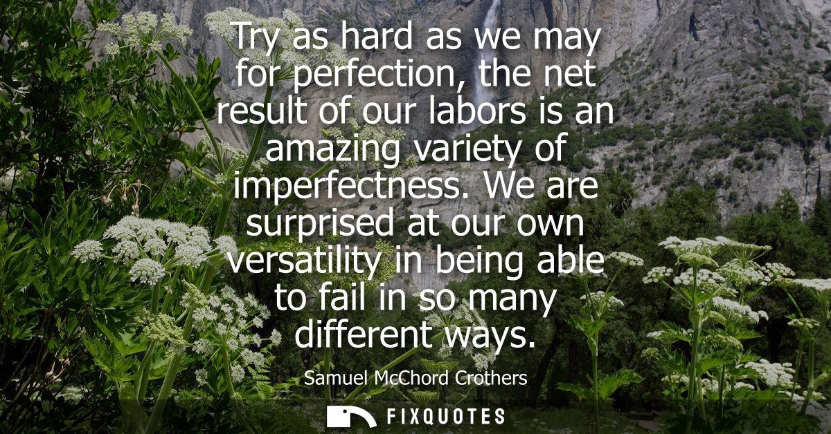 Try as hard as we may for perfection, the net result of our labors is an amazing variety of imperfectness.