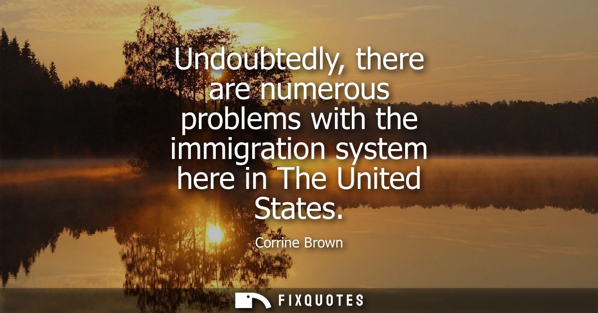 Undoubtedly, there are numerous problems with the immigration system here in The United States