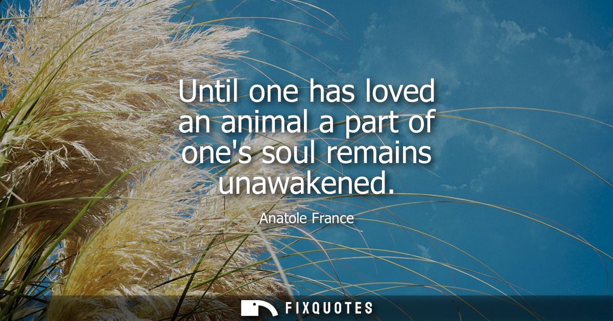Until one has loved an animal a part of ones soul remains unawakened