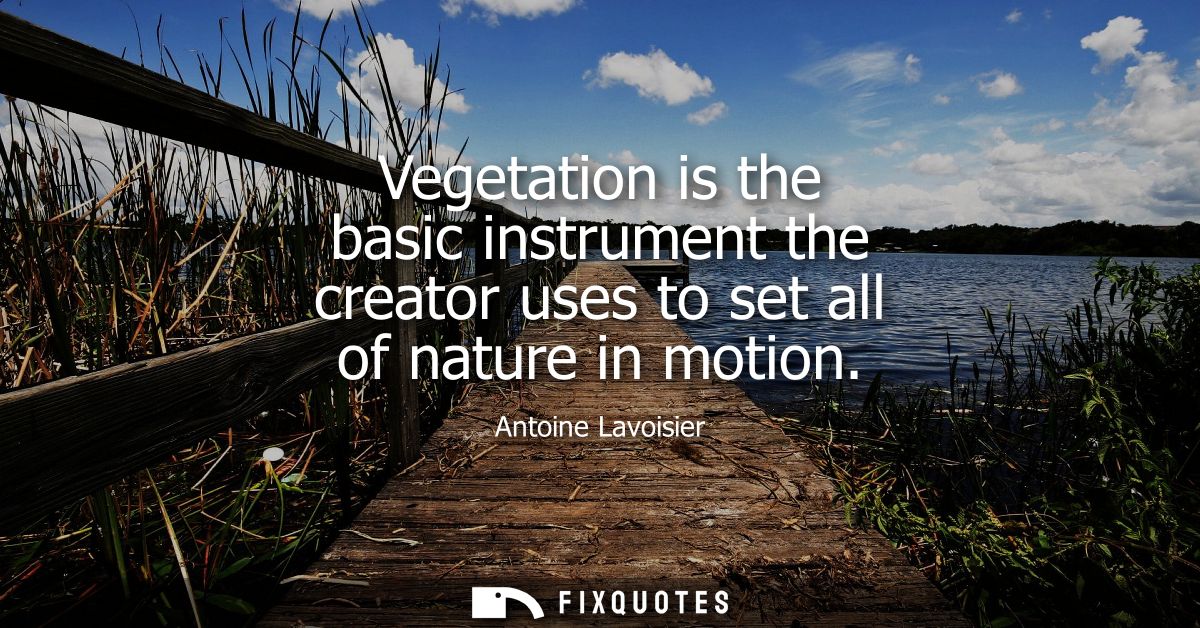 Vegetation is the basic instrument the creator uses to set all of nature in motion