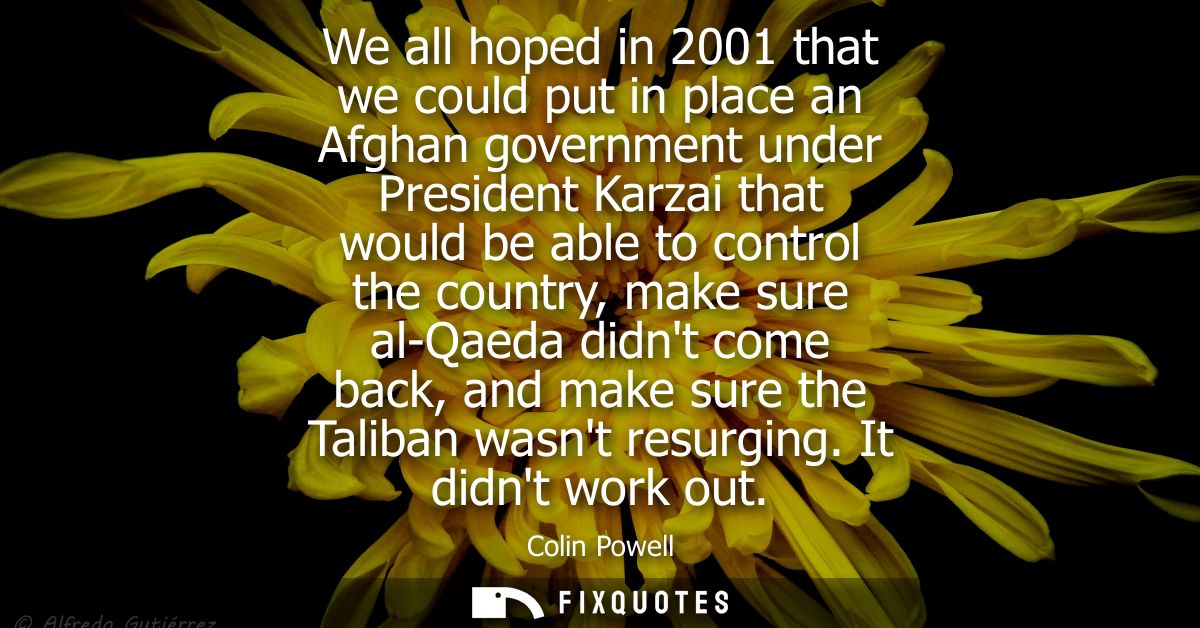 We all hoped in 2001 that we could put in place an Afghan government under President Karzai that would be able to contro
