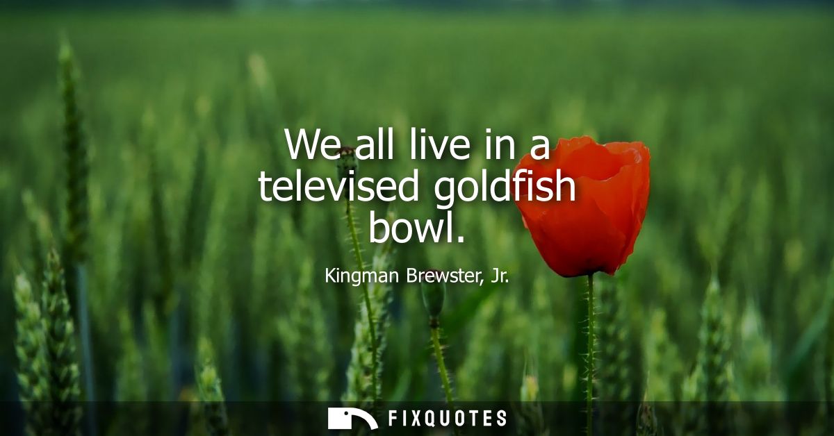 We all live in a televised goldfish bowl