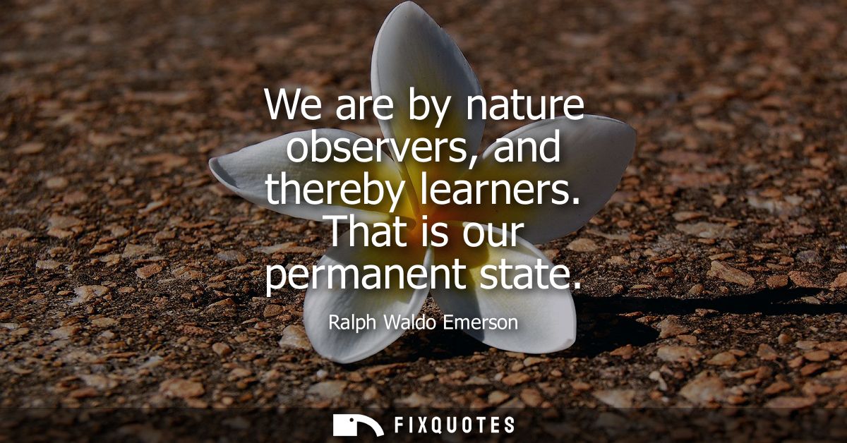We are by nature observers, and thereby learners. That is our permanent state