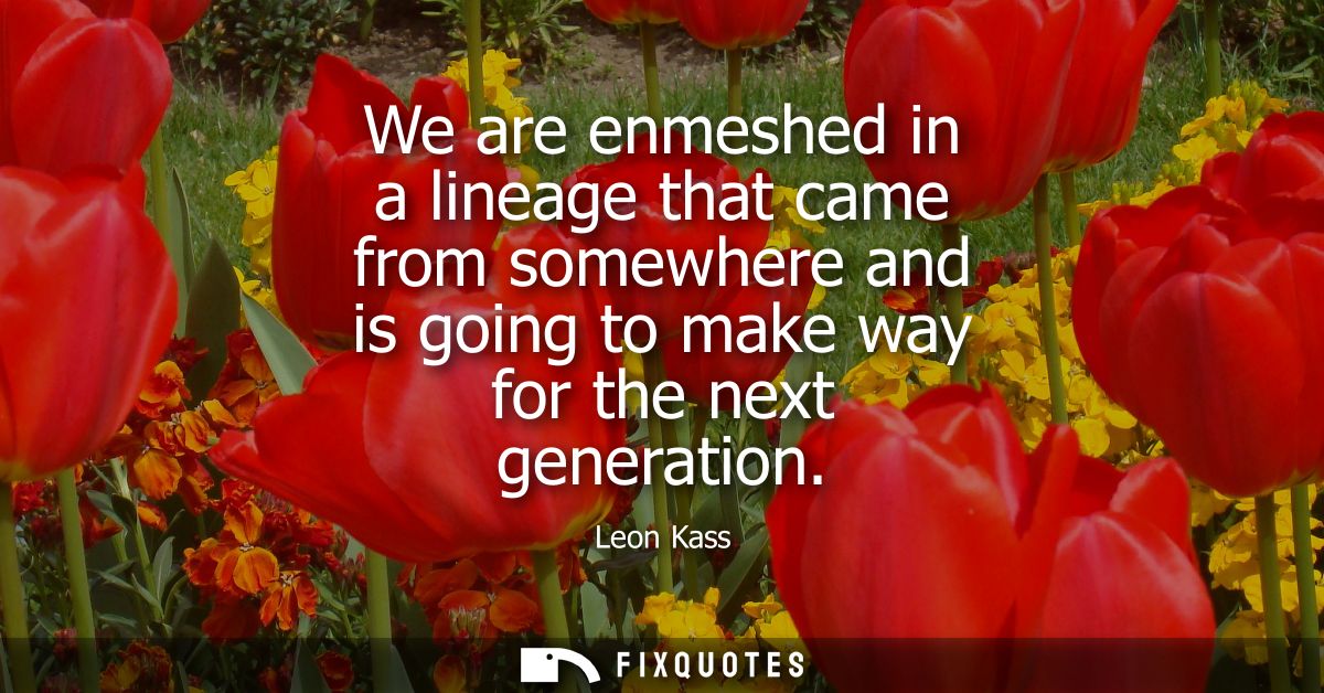 We are enmeshed in a lineage that came from somewhere and is going to make way for the next generation