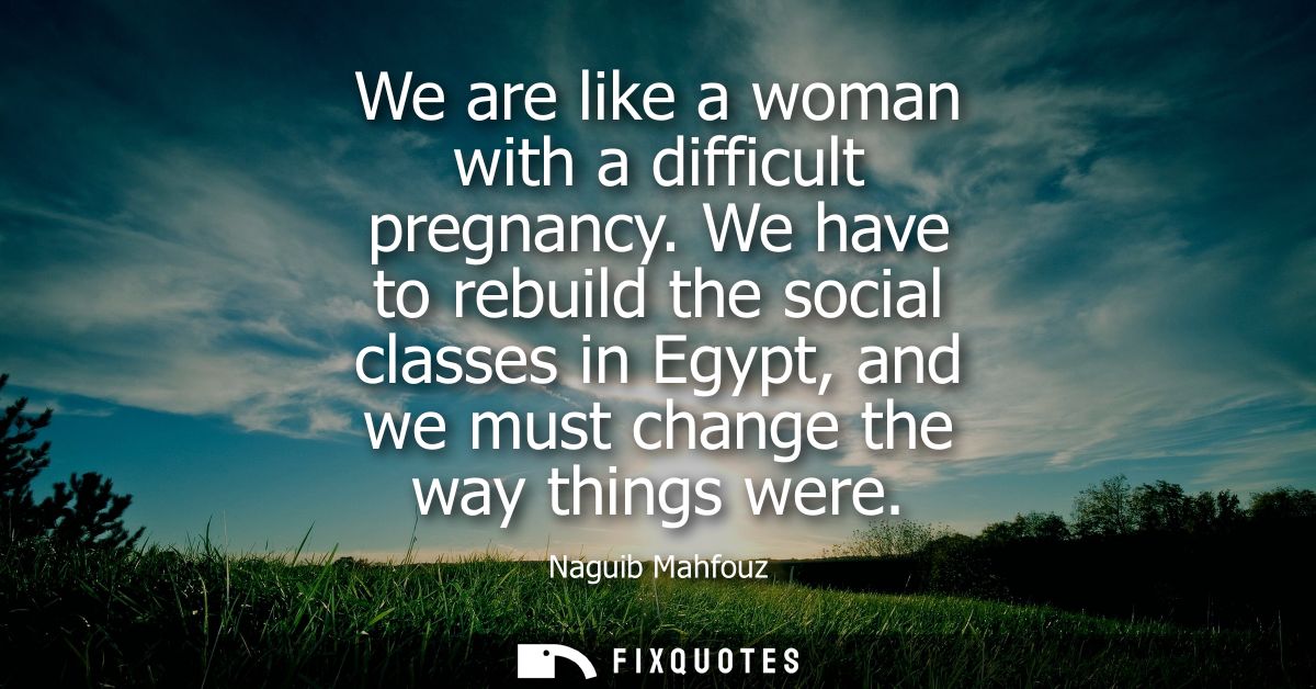 We are like a woman with a difficult pregnancy. We have to rebuild the social classes in Egypt, and we must change the w