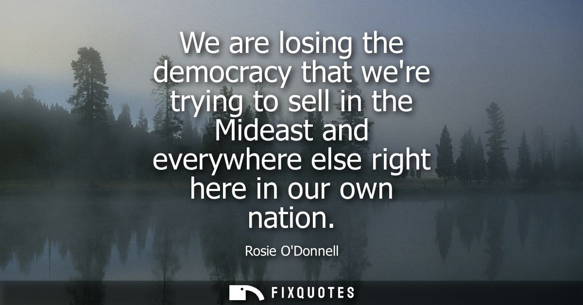 We are losing the democracy that were trying to sell in the Mideast and everywhere else right here in our own nation