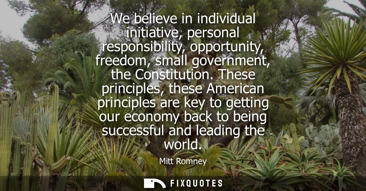 We believe in individual initiative, personal responsibility, opportunity, freedom, small government, the Constitution.