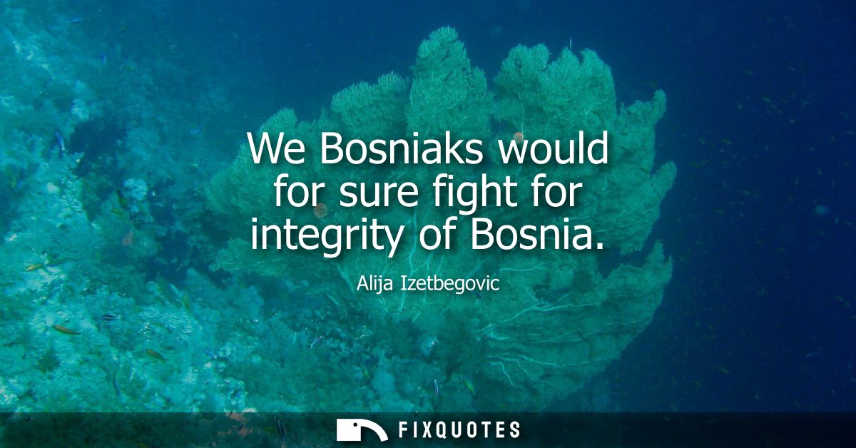 We Bosniaks would for sure fight for integrity of Bosnia