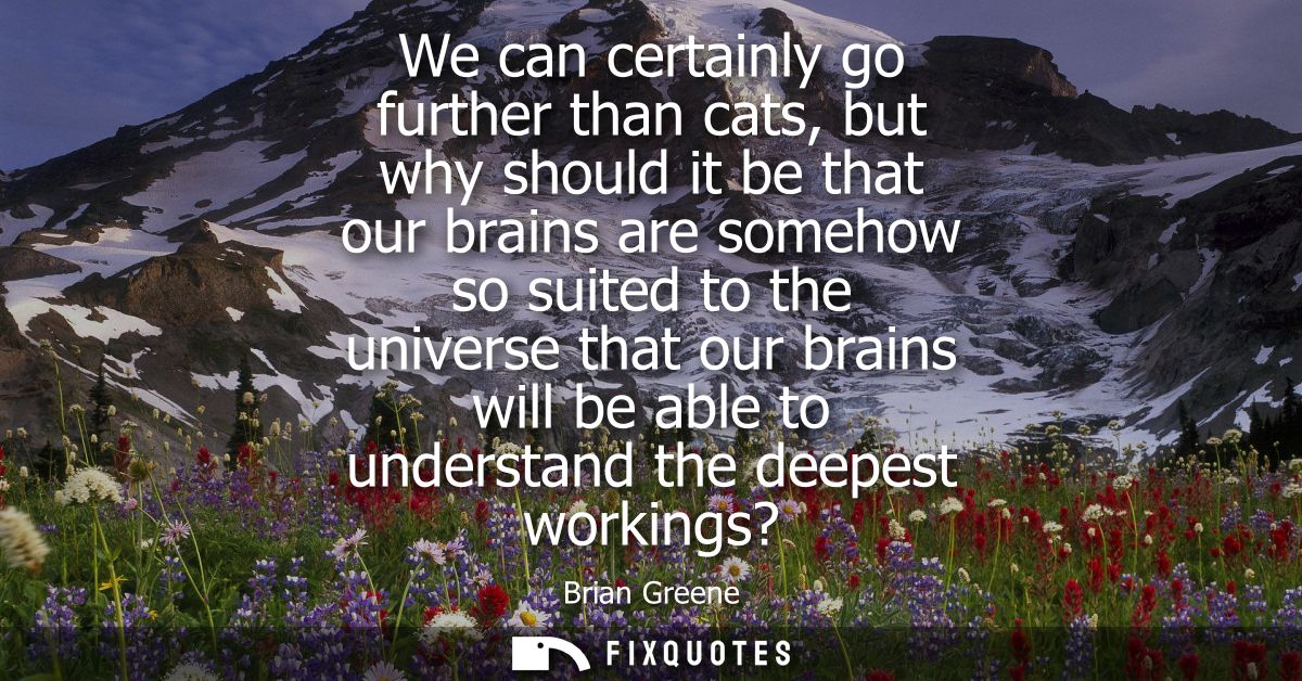 We can certainly go further than cats, but why should it be that our brains are somehow so suited to the universe that o