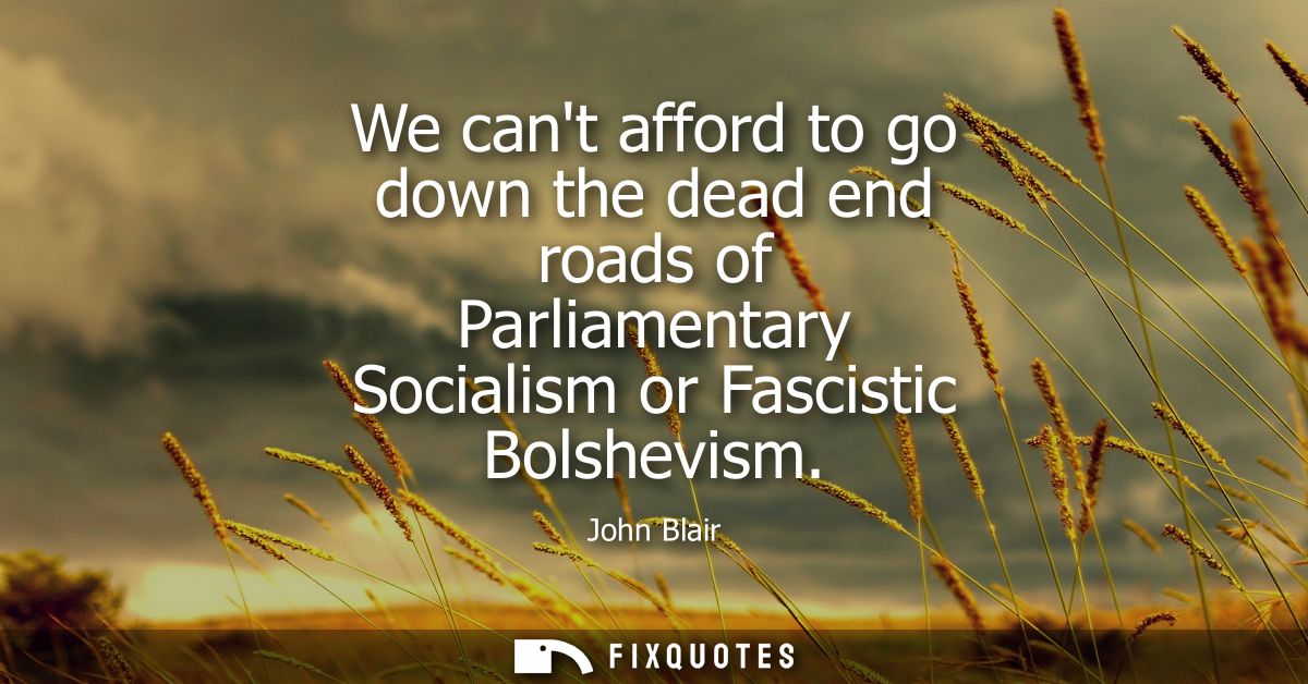 We cant afford to go down the dead end roads of Parliamentary Socialism or Fascistic Bolshevism