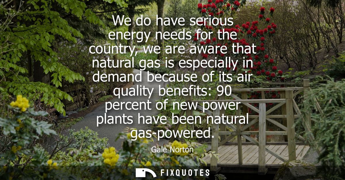 We do have serious energy needs for the country, we are aware that natural gas is especially in demand because of its ai