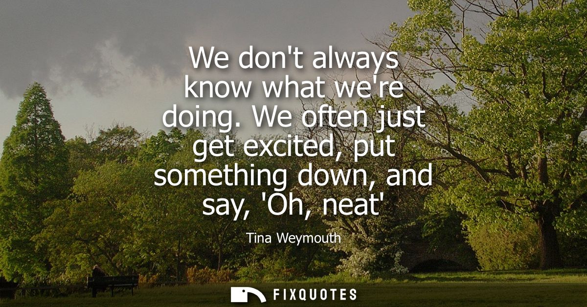 We dont always know what were doing. We often just get excited, put something down, and say, Oh, neat
