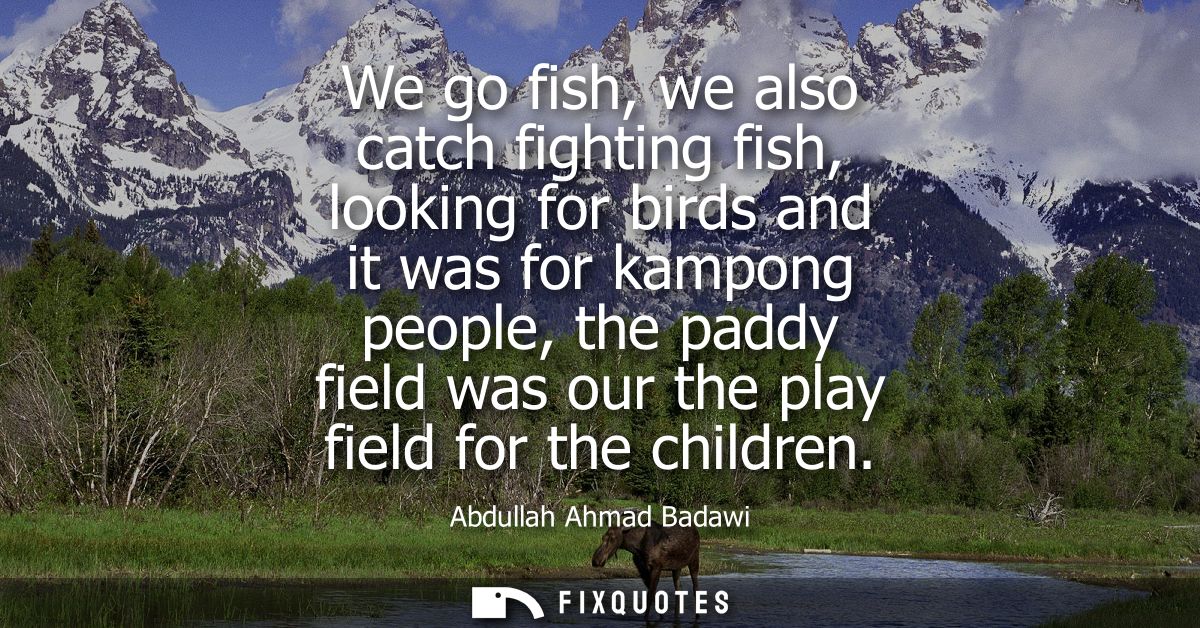 We go fish, we also catch fighting fish, looking for birds and it was for kampong people, the paddy field was our the pl